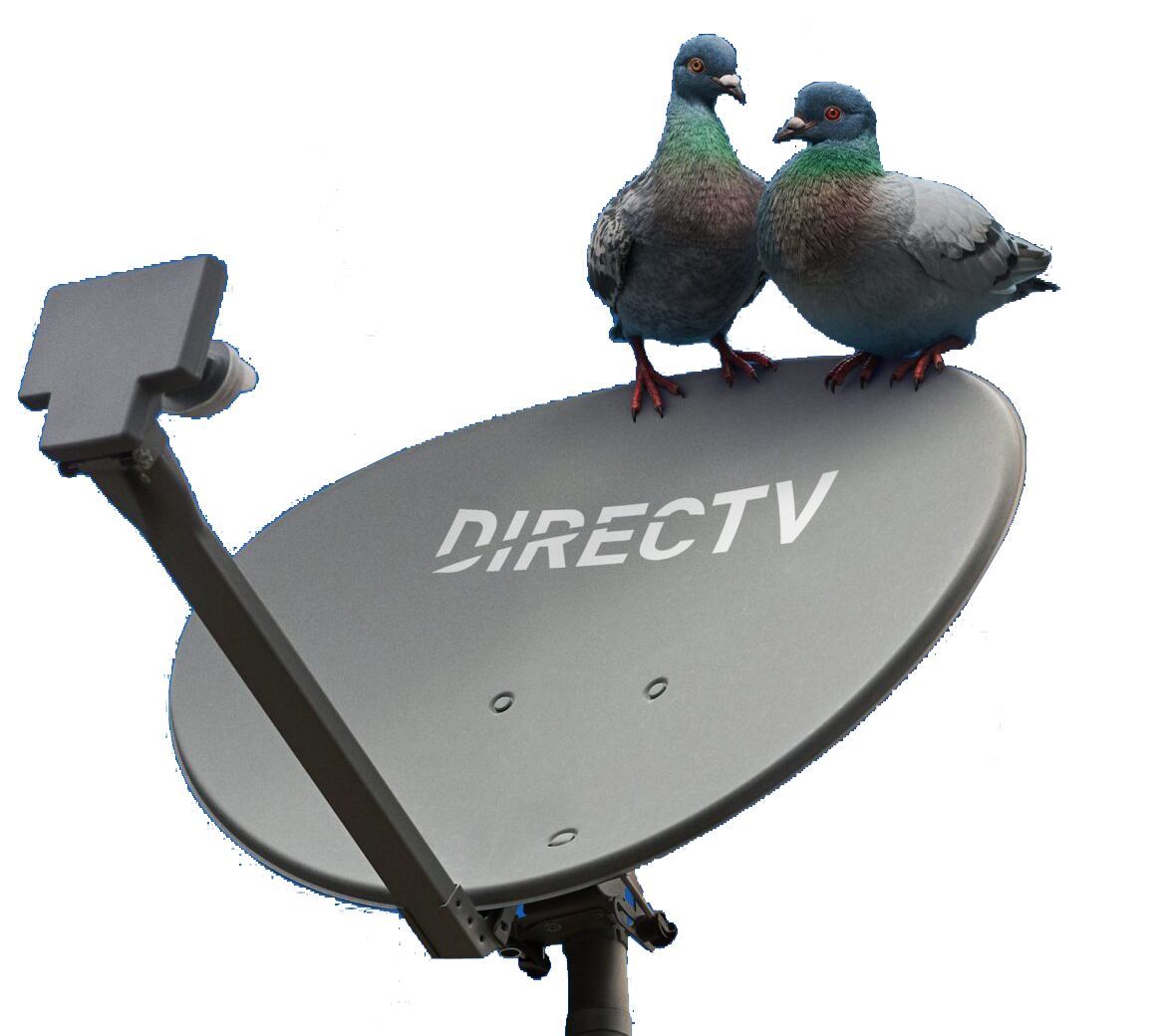 DIRECTV Satellite